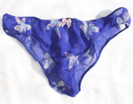 blue silk knickers