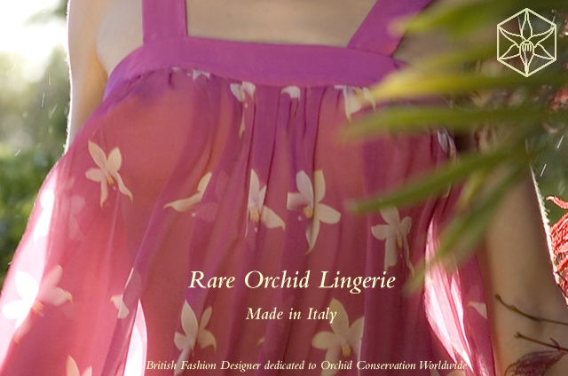 silk chiffon and silk velvet designer lingerie