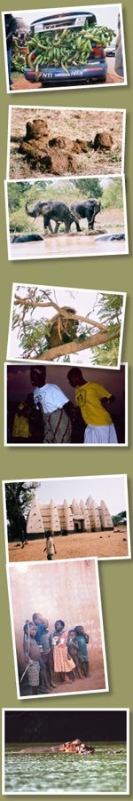 elephant conservation
