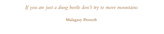 malagasy proverb